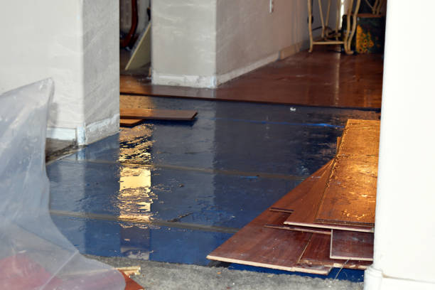 Professional Burst Pipe Cleanup technician working in Deerfield, MI